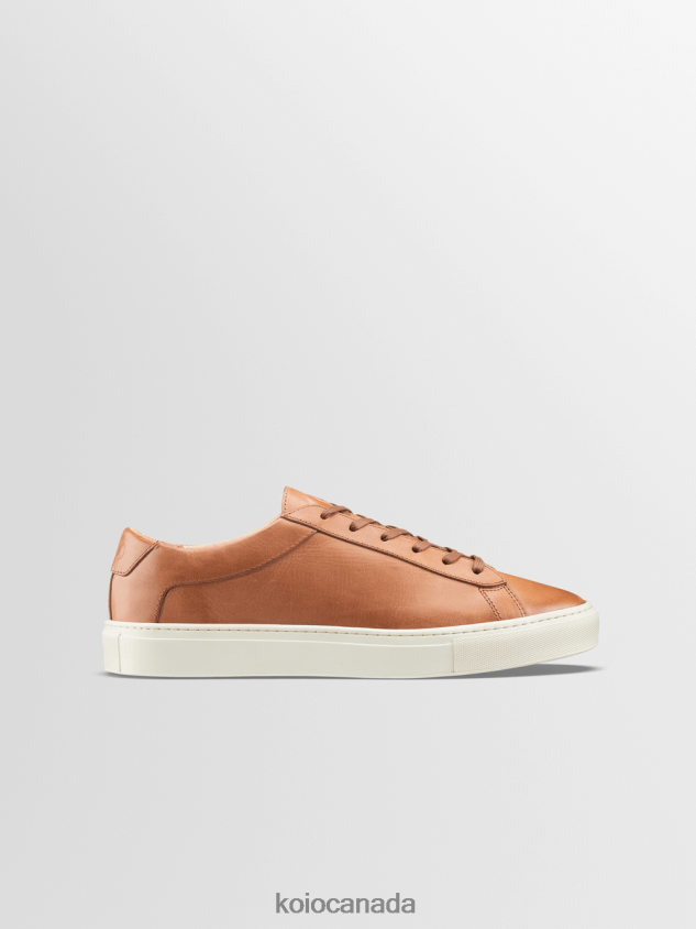 KOIO Capri Men 660XH017 Castagna Shoes
