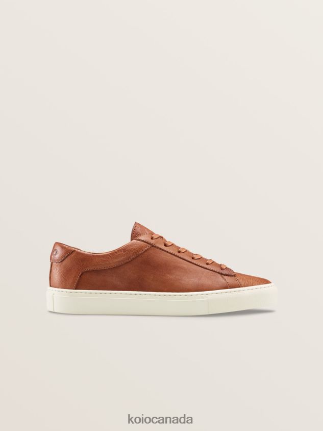 KOIO Capri Regenerative Men 660XH037 Castagna Shoes