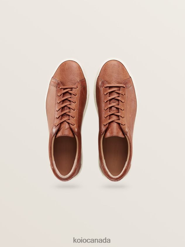 KOIO Capri Regenerative Men 660XH037 Castagna Shoes